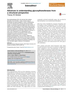 Advances in Understanding Glycosyltransferases from A