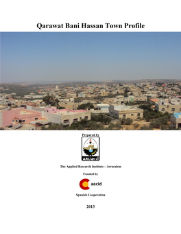 Qarawat Bani Hassan Town Profile