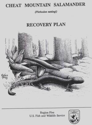Cheat Mountain Salamander Recovery Plan