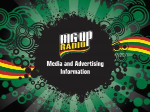 Media and Advertising Information Why Advertise on Bigup Radio? Ranked in the Top 50,000 of All Sites According to Amazon’S Alexa Service