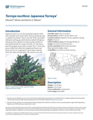 Torreya Nucifera: Japanese Torreya1 Edward F