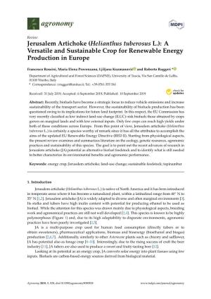 Jerusalem Artichoke (Helianthus Tuberosus L.): a Versatile and Sustainable Crop for Renewable Energy Production in Europe