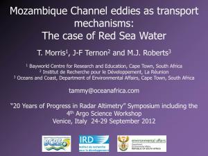 Mozambique Channel Eddies As Transport Mechanisms: the Case of Red Sea Water