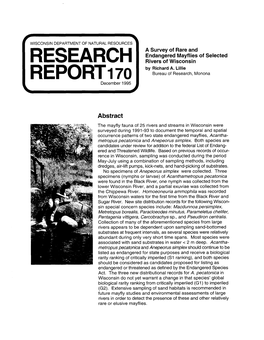 Research Report110