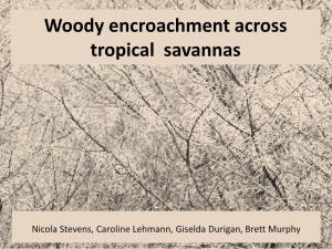 Woody Encroachment Across Tropical Savannas