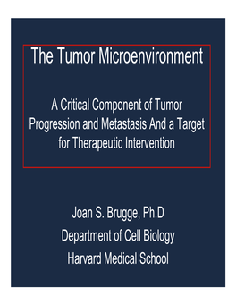 The Tumor Microenvironment