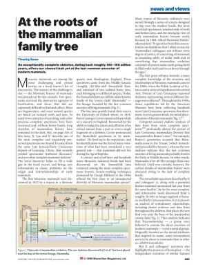At the Roots of the Mammalian Family Tree