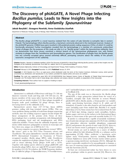 The Discovery of Phiagate, a Novel Phage Infecting Bacillus Pumilus, Leads to New Insights Into the Phylogeny of the Subfamily Spounavirinae