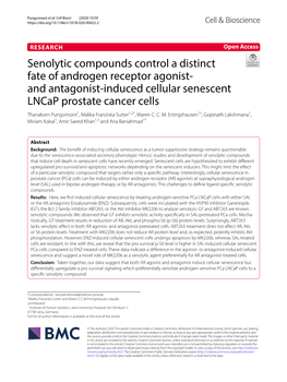 And Antagonist-Induced Cellular Senescent Lncap Prosta