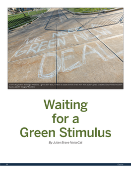 Waiting for a Green Stimulus Green Stimulus