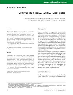 Vegetal Marijuana, Animal Marijuana