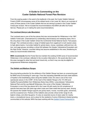 A Guide to Commenting on the Custer Gallatin National Forest Plan Revision