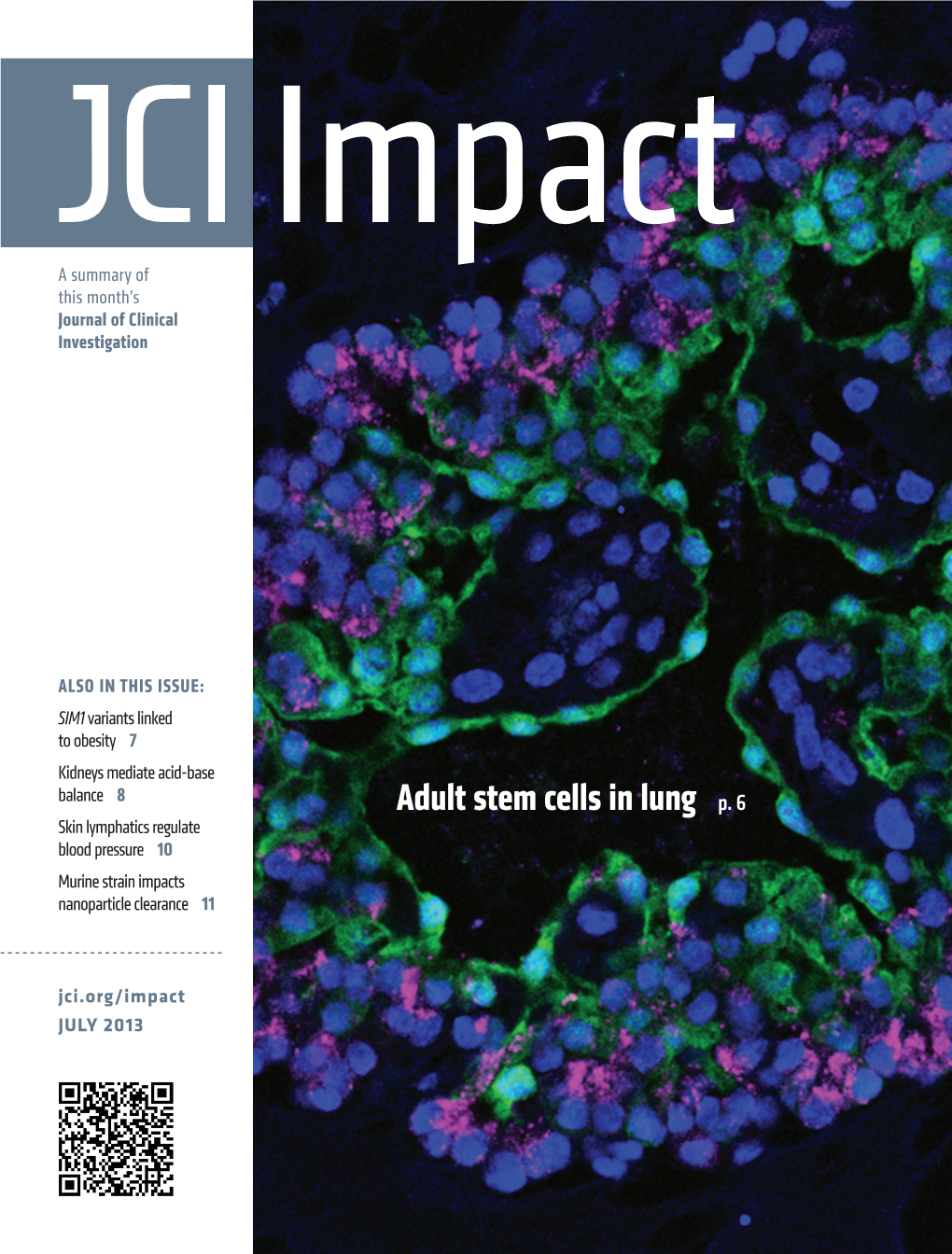 Adult Stem Cells in Lung P. 6 Skin Lymphatics Regulate Blood Pressure 10 Murine Strain Impacts Nanoparticle Clearance 11