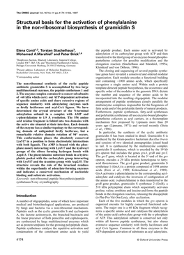 Structural Basis for the Activation of Phenylalanine in the Non-Ribosomal Biosynthesis of Gramicidin S