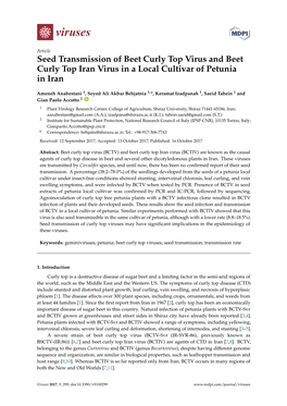 Seed Transmission of Beet Curly Top Virus and Beet Curly Top Iran Virus in a Local Cultivar of Petunia in Iran