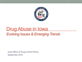 Drug Abuse in Iowa Evolving Issues & Emerging Trends