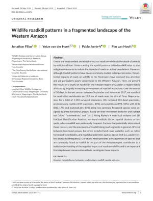 Wildlife Roadkill Patterns in a Fragmented Landscape of the Western Amazon