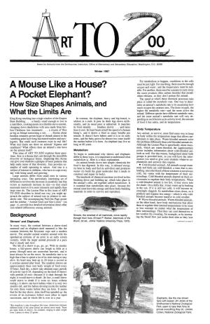 A Mouse Like a House? a Pocket Elephant?
