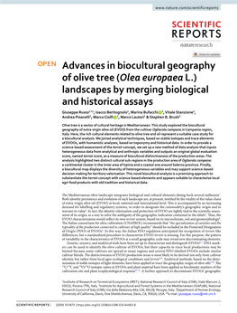 Advances in Biocultural Geography of Olive Tree