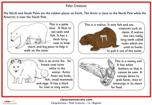 Comprehension-Polar-Creatures
