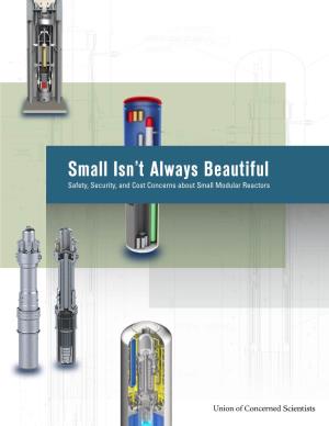 Small Isn't Always Beautiful Safety, Security, and Cost Concerns About Small Modular Reactors