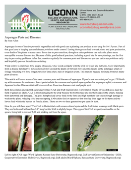 Asparagus Pests and Diseases by Joan Allen
