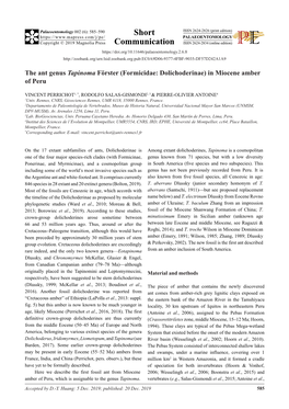 The Ant Genus Tapinoma Förster (Formicidae: Dolichoderinae) in Miocene Amber of Peru