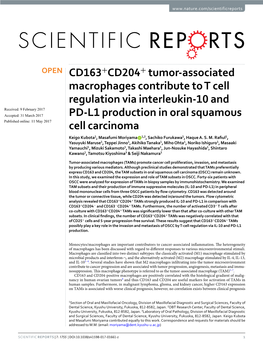 CD163+CD204+ Tumor-Associated Macrophages Contribute to T Cell Regulation Via Interleukin-10 and PD-L1 Production in Oral Squamo