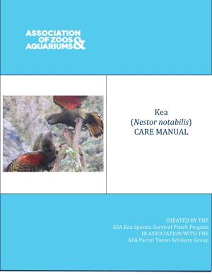 Kea (Nestor Notabilis) Care Manual