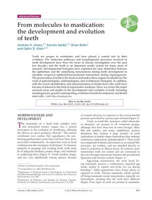 From Molecules to Mastication: the Development and Evolution of Teeth Andrew H