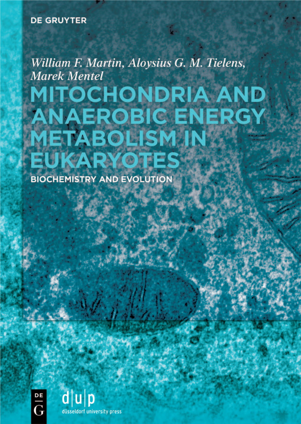 Mitochondria and Anaerobic Energy Metabolism in Eukaryotes