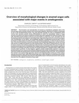 Overview of Morphological Changes Inenamel Organ Cells Associated