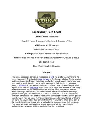 Roadrunner Fact Sheet