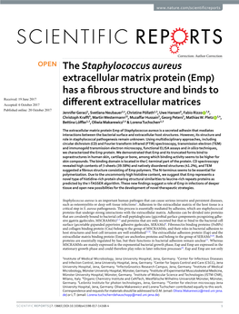 The Staphylococcus Aureus Extracellular Matrix Protein
