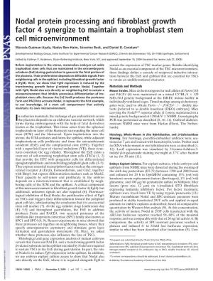 Nodal Protein Processing and Fibroblast Growth Factor 4 Synergize to Maintain a Trophoblast Stem Cell Microenvironment