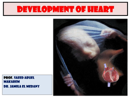 Embryology and Anatomy of Fetal Heart