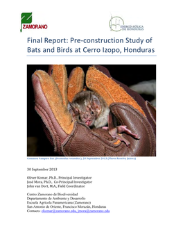 Final Report: Pre-Construction Study of Bats and Birds at Cerro Izopo, Honduras