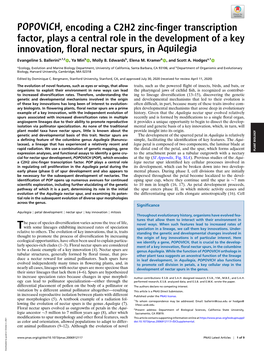 POPOVICH, Encoding a C2H2 Zinc-Finger Transcription Factor, Plays