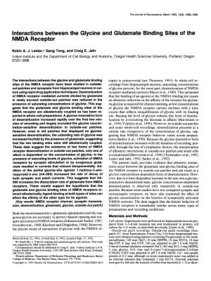 Interactions Between the Glycine and Glutamate Binding Sites of the NMDA Receptor