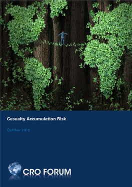 Casualty Accumulation Risk
