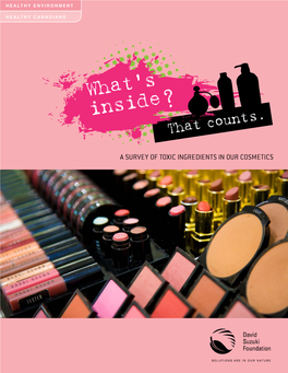 What's Inside That Counts, a Survey of Toxic Ingredients in Our Cosmetics