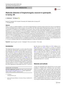 Molecular Detection of Angiostrongylus Vasorum in Gastropods in Surrey, UK