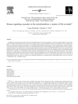 Kinase Signaling Cascades in the Mitochondrion: a Matter of Life Or Death$