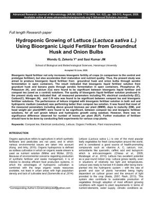 Hydroponic Growing of Lettuce (Lactuca Sativa L.) Using Bioorganic Liquid Fertilizer from Groundnut Husk and Onion Bulbs