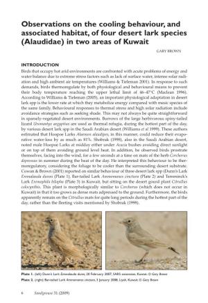 Observations on the Cooling Behaviour, and Associated Habitat, of Four Desert Lark Species (Alaudidae) in Two Areas of Kuwait