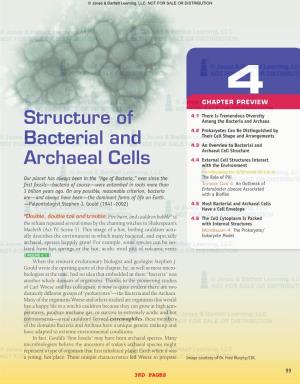Structure of Bacterial and Archaeal Cells