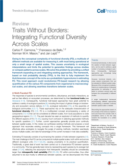 Traits Without Borders: Integrating Functional Diversity Across Scales
