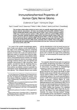 Immunohistochemical Properties of Human Optic Nerve Glioma