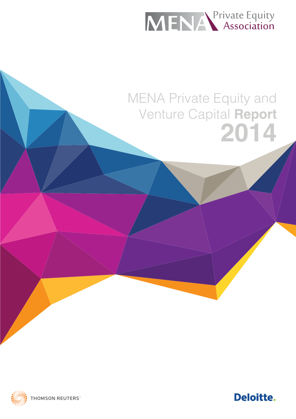 MENA Private Equity and Venture Capital Report