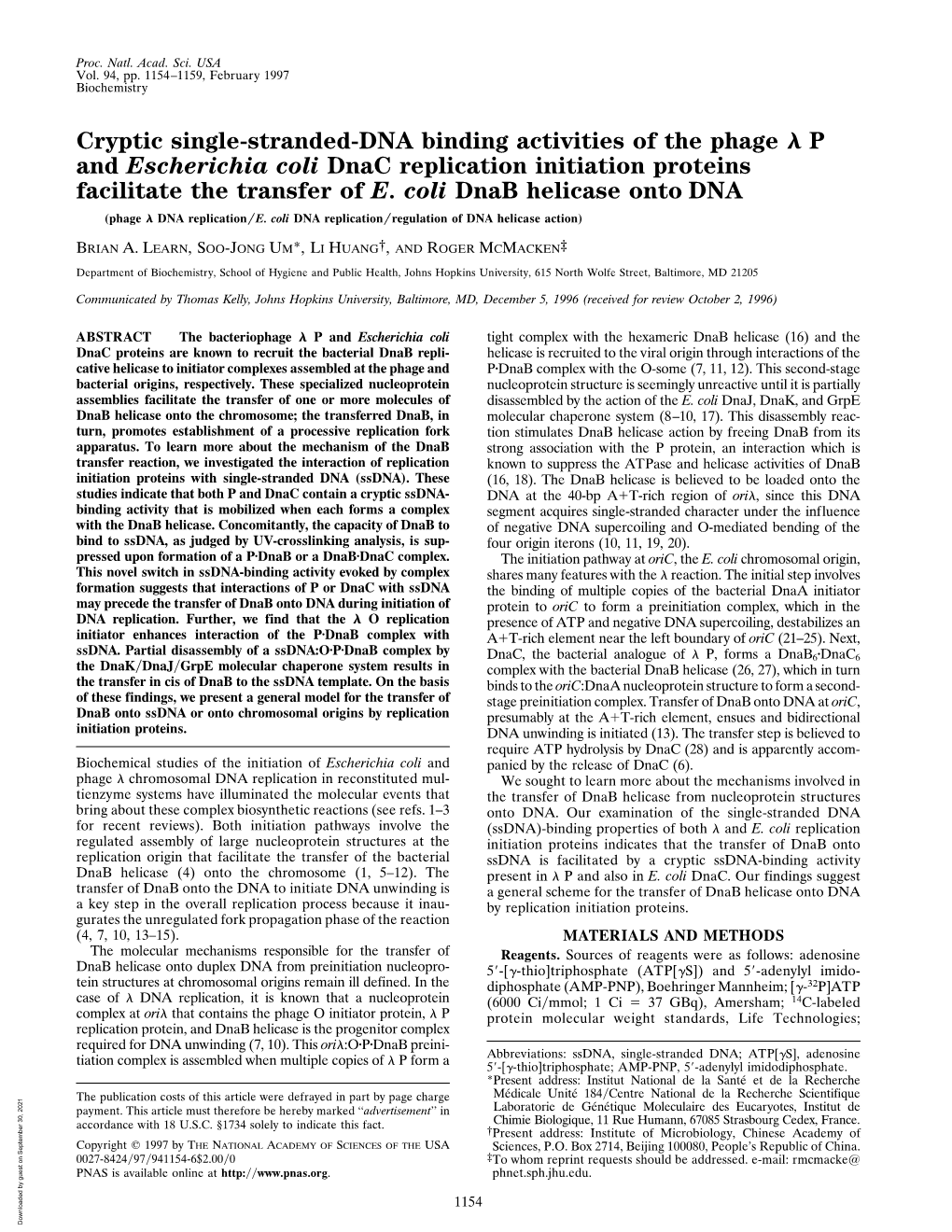 Cryptic Single-Stranded-DNA Binding Activities of the Phage P And